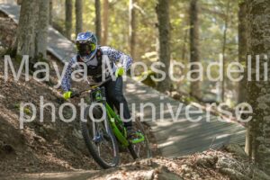 IMG_4390