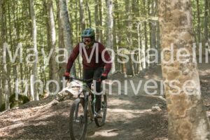 IMG_4402
