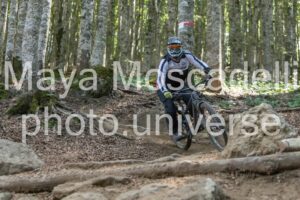 IMG_4477