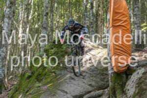 IMG_4479