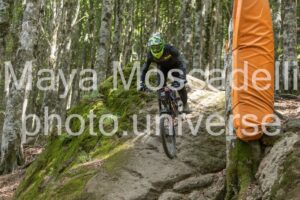 IMG_4499