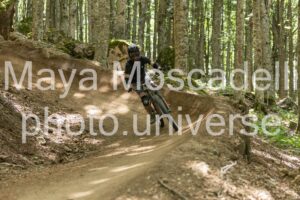 IMG_4530