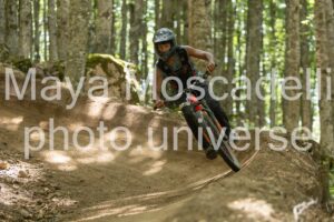 IMG_4547