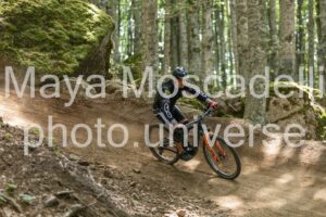 IMG_4550