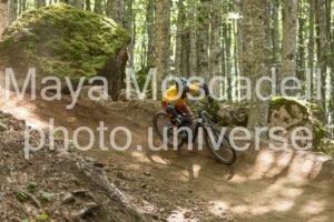 IMG_4559