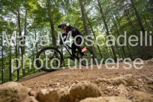 IMG_4623