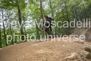 IMG_4633