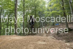 IMG_4642