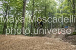 IMG_4645
