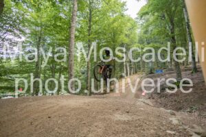 IMG_4717