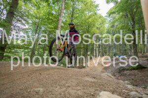 IMG_4731