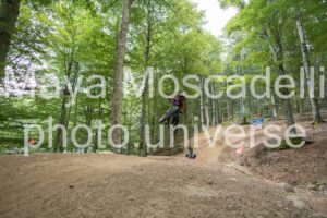 IMG_4753
