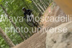 IMG_4770