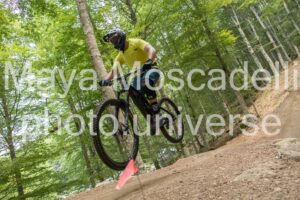 IMG_4774