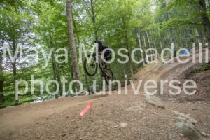 IMG_4798