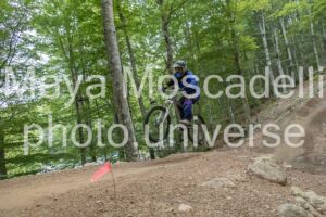 IMG_4810