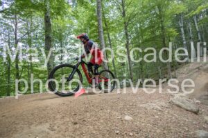 IMG_4828