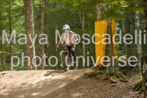 IMG_4890