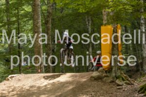 IMG_4894