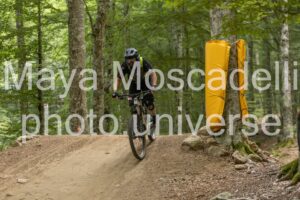 IMG_4905