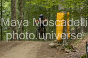 IMG_4917