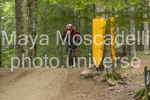IMG_4922