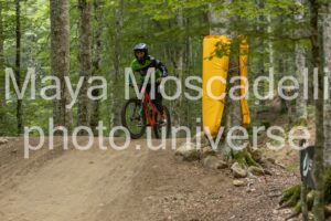 IMG_4930