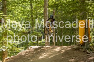 IMG_4966