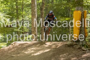 IMG_5017