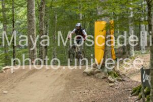 IMG_5061