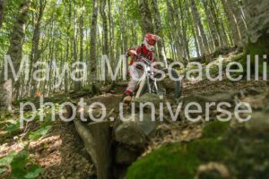 IMG_5124