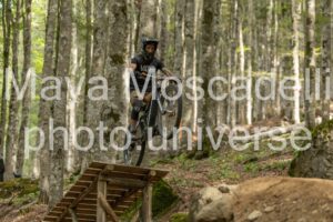 IMG_5232