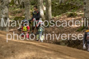 IMG_5239