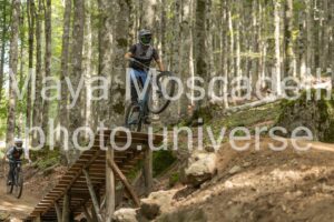 IMG_5241