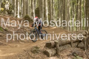 IMG_5271