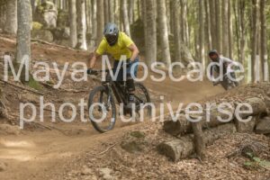 IMG_5278