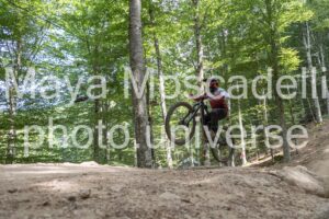 IMG_5426