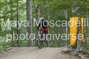IMG_5537