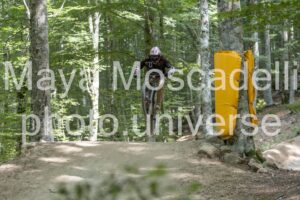 IMG_5550