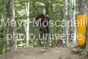 IMG_5626