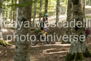 IMG_5659
