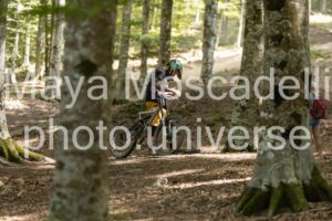 IMG_5660