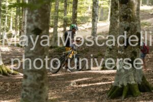 IMG_5662