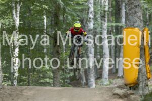 IMG_5667