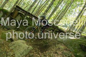 IMG_6206