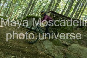 IMG_6233