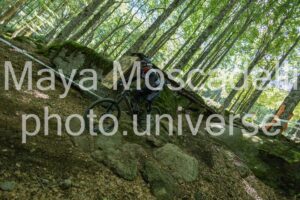 IMG_6250