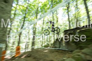 IMG_6295