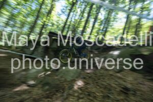 IMG_6301