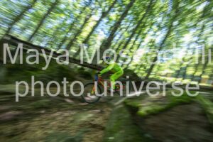 IMG_6304